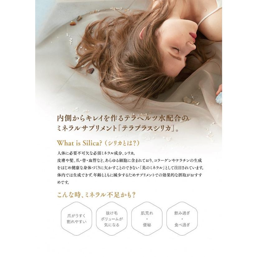ホリスティックキュア テラプラスシリカ 100ml Tera+ Silica  美のミネラル シリカ  サプリメント ホリスティックキュアーズ HOLISTICcures |  | 01