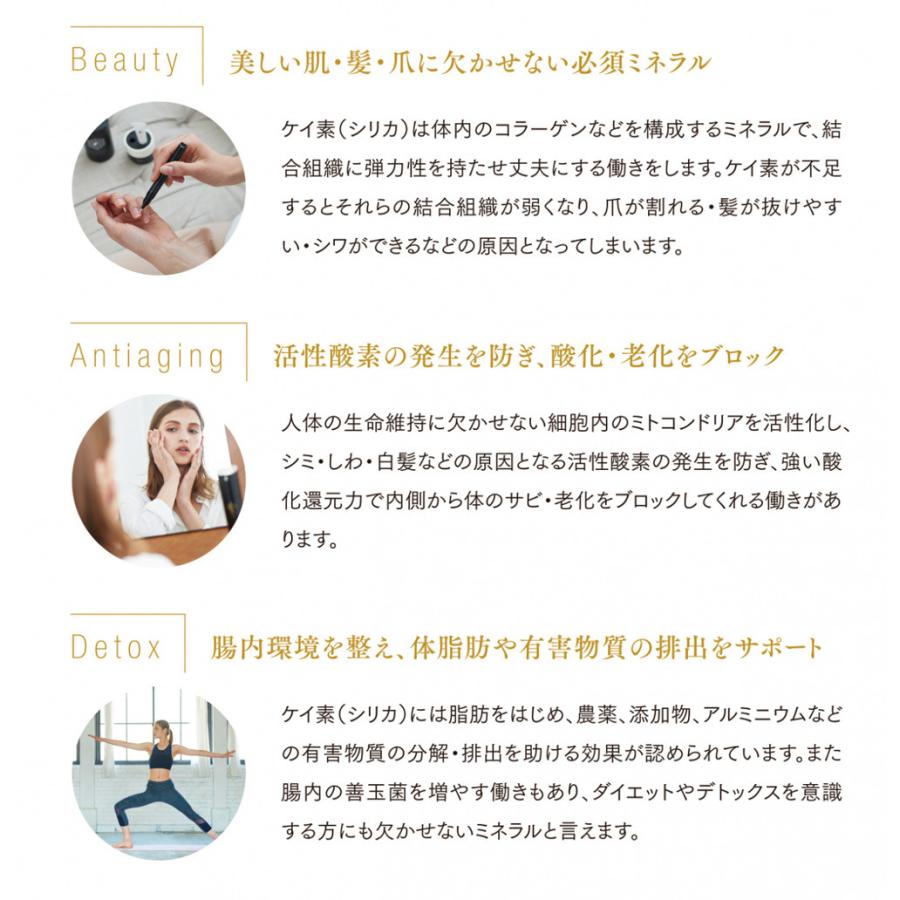 ホリスティックキュア テラプラスシリカ 100ml Tera+ Silica  美のミネラル シリカ  サプリメント ホリスティックキュアーズ HOLISTICcures |  | 03