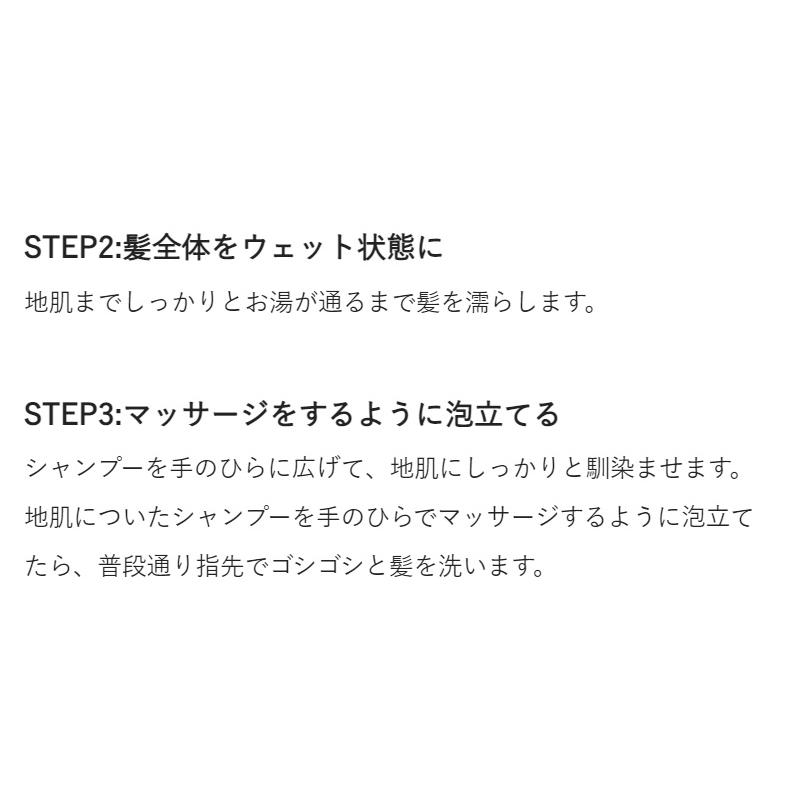 ホリスティックキュアトトノイ ブラシ シャンプー専用ブラシ  髪 頭皮 ヘアブラシ トリートメント 効果が上がる |  | 07