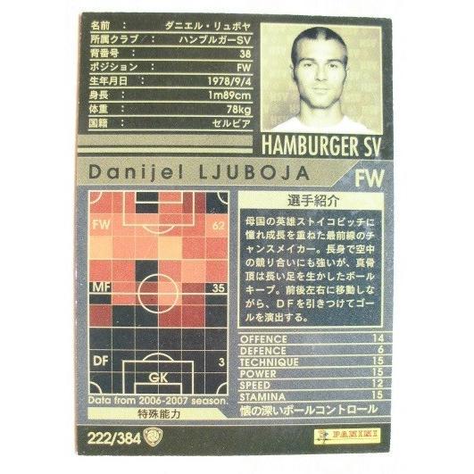 ※※ 222/384　サッカートレカ　lnterconhinental Clubs 2006-2007【新品/未使用】トレーディングカード　端数ポイント交換で |  | 01