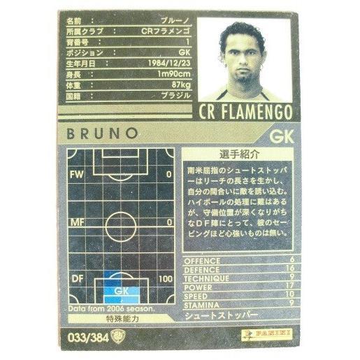 ※※ 033/384　サッカートレカ　lnterconhinental Clubs 2006-2007【新品/未使用】トレーディングカード　端数ポイント交換で |  | 01