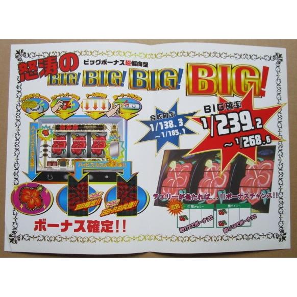※※ NEOイミソーレ　エマ/EMA-03【パチスロ実機/パンフレット/チラシ】レトロ 懐かしの名機　折れあり　いみそーれ |  | 02