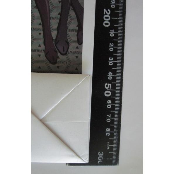 ※※ CRエヴァンゲリオン　手提げ紙袋　10 TH ANNIVERSARY【新品/未使用】百均,奉仕品,特売,100均,100円均一,バーゲン,見切り品,特価 |  | 03