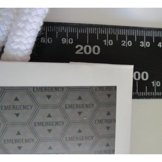 ※※ CRエヴァンゲリオン　手提げ紙袋　10 TH ANNIVERSARY【新品/未使用】百均,奉仕品,特売,100均,100円均一,バーゲン,見切り品,特価 |  | 05