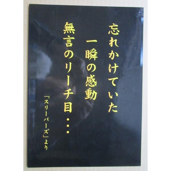 ※※ スリーバーズ　岡崎産業/OKAZAKI　SLOT【パチスロ実機/パンフレット/チラシ】0-3　レトロ 懐かしの名機　 |  | 01