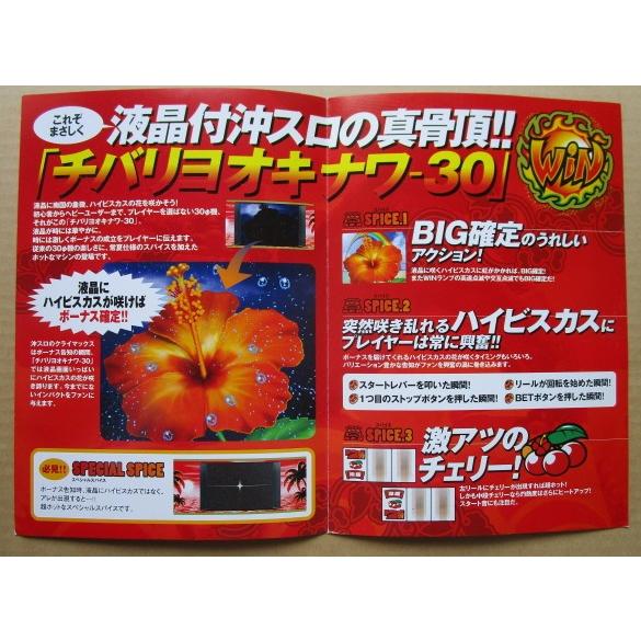 ※※ チバリヨ沖縄-30　ネット　SLOT【パチスロ実機/パンフレット/チラシ】2-2　レトロ 懐かしの名機　 |  | 02