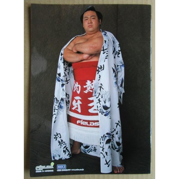 ※※ 灼熱牙王　ロデオ　SLOT【パチスロ実機/パンフレット/チラシ】1-3　レトロ 懐かしの名機　折れ目あり |  | 03