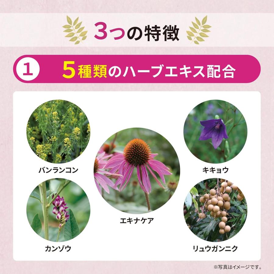 松浦薬業 エキナケアのど飴 52g [ノンシュガー 個包装 メントール