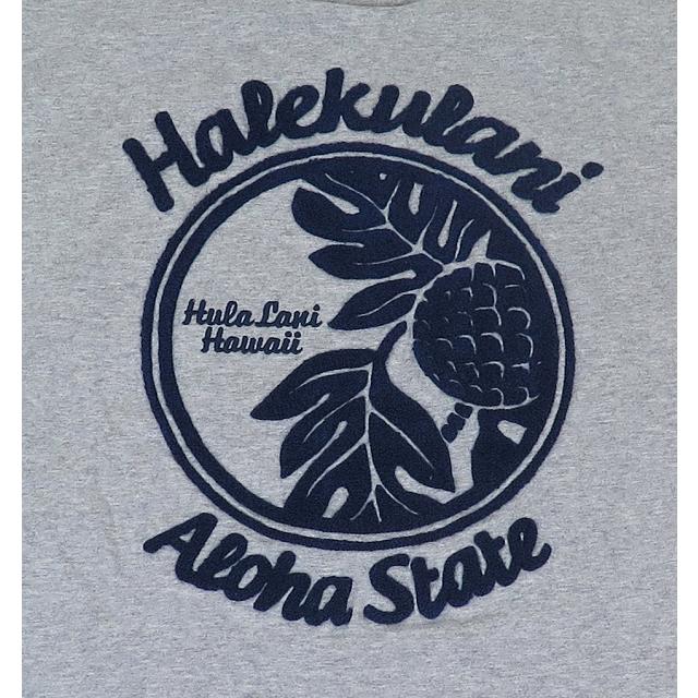 長袖 Tシャツ メンズ ロンT トップス フララニハワイ Hulalani Hawaii 