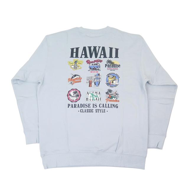 トレーナー スウェット メンズ トップス 長袖 2025新作 Hulalani