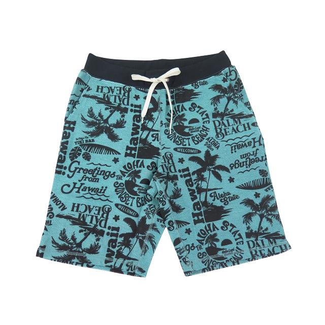 ハーフパンツ メンズ ショートパンツ 2026新作 春夏 Hulalani Hawaii