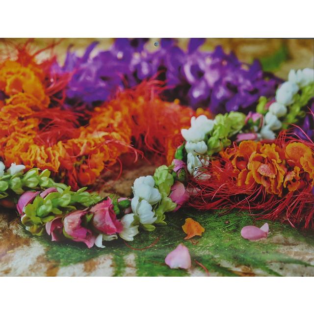 21年 ハワイ フォトカレンダー フラワー 南国 花 アイランドヘリテイジ ハワイアン雑貨 インテリア メール便対応 送料無料 ハワイお土産 000 ハワイアン雑貨 Holoholo 通販 Yahoo ショッピング