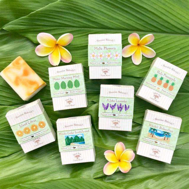 自然派石けん ハワイアン ナチュラルソープ 固形 石鹸 ソープ