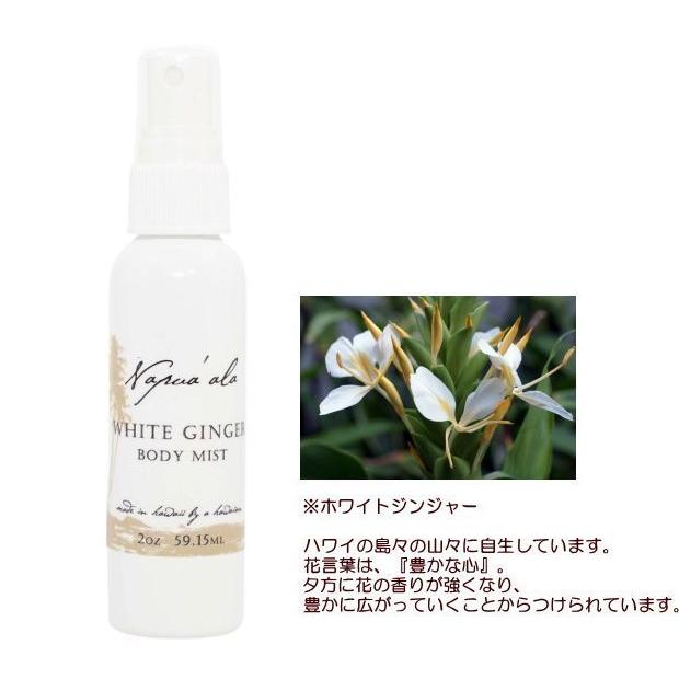 ハワイアン雑貨 ハワイアン ボディミスト ボディスプレー ナプアアラ プルメリア ピカケ ロケラニ ココナッツバーベナ ガーデニア ホワイトジンジャー Npa Bm ハワイアン雑貨 Holoholo 通販 Yahoo ショッピング