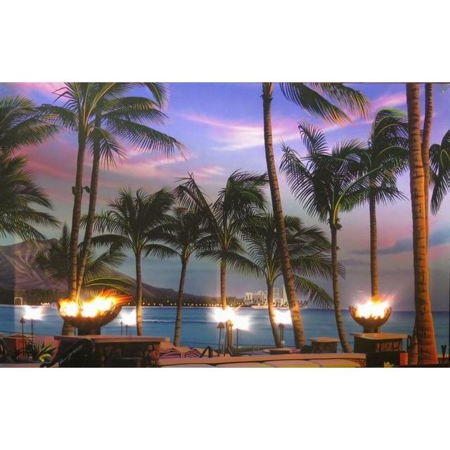 ハワイアン雑貨 インテリア ハワイアン 雑貨 栗山義勝 点灯式 キャンバス パネル絵 ラムファイヤー ダイヤモンドヘッド ハワイアン雑貨 ハワイ お土産 照明 Pukr 1801 ハワイアン雑貨 Holoholo 通販 Yahoo ショッピング