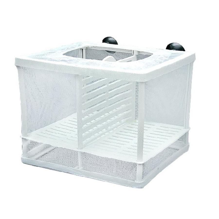 断熱メッシュボックス 隔離 吊り下げ 羽化ボックス 水槽 魚 Lサイズ :t02060:homari - 通販 - Yahoo!ショッピング