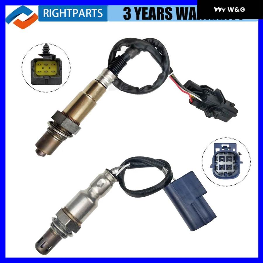 流刑への道 プロモ 日)【Foil】流刑への道 / Path to Exile【PRM】ゲートウェイ