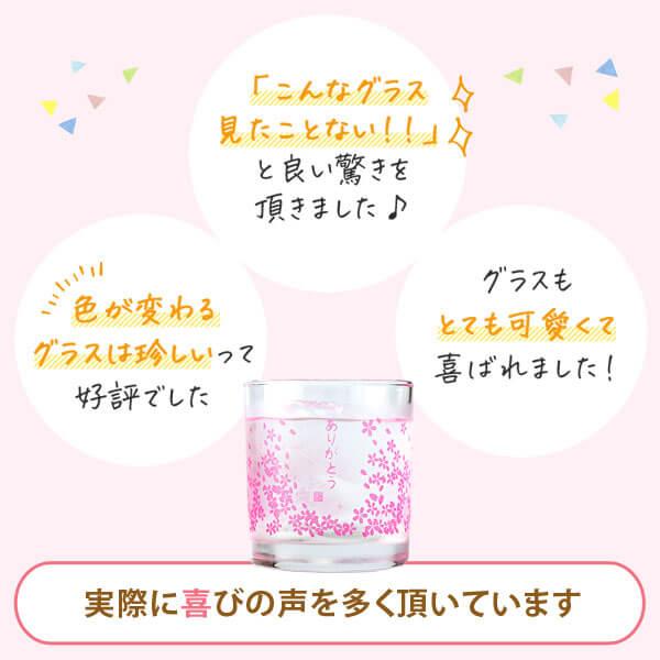 飲み比べセット ギフト グラス付き さくらじま 上等梅酒 2本 セット 焼酎 誕生日 プレゼント 贈り物 送料無料 本坊酒造｜hombo｜03