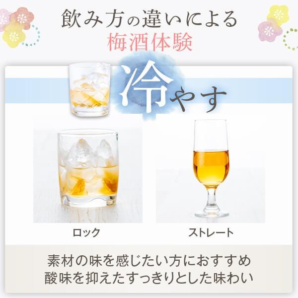 梅酒6本 星舎 本格梅酒 上等梅酒 14度 1800ml 6本セット 本坊酒造 無添加