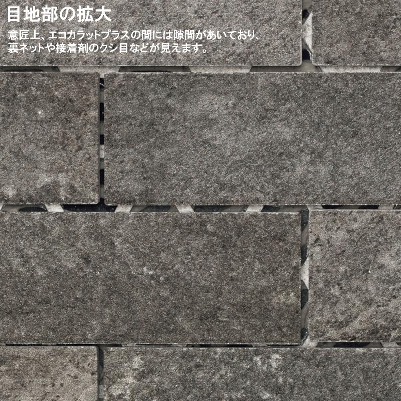エコカラット エコカラットプラス ルドラNX ECP-2515NET/LDN3
