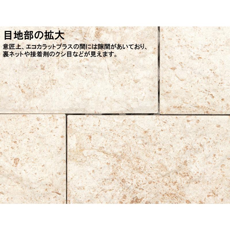 エコカラット エコカラットプラス ヴィストNX ECP-CTN/VIN1 エコカラット エコカラットプラス ヴィストNX ECP-CTN/VIN1