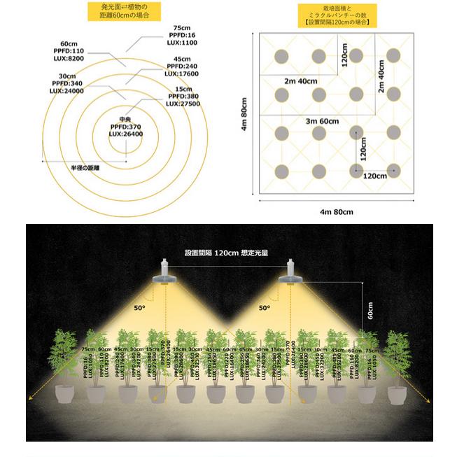 ミラクルパンチー【ver3】植物育成用 LED 調光機能付き : 室内園芸専門
