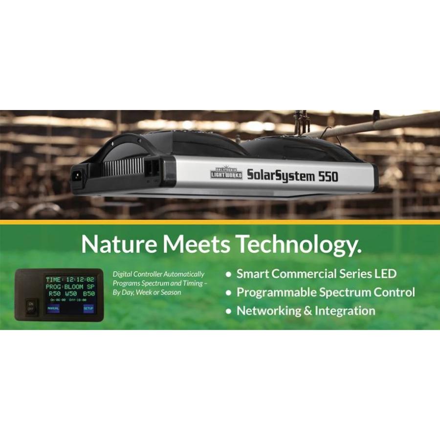 早割クーポン！ SolarSystem tattoostudiobecause.be aka 550 100