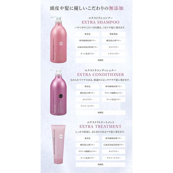 あわせ買い1999円以上で送料お得)サロンリンク エクストラシャンプー