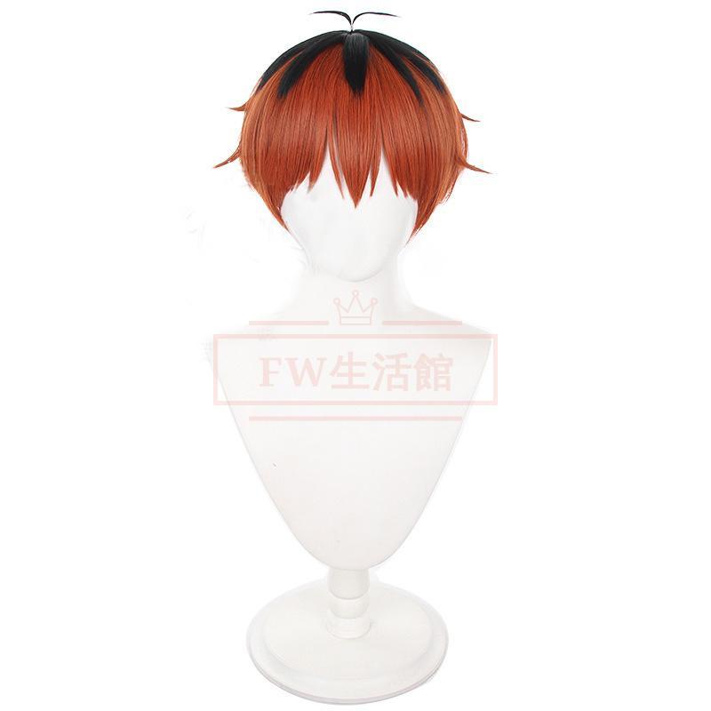 シュタルク　ウィッグのみ　葬送のフリーレン 葬送のフリーレン 風 シュタルクコスプレウィッグ ネット付き WIG 高温