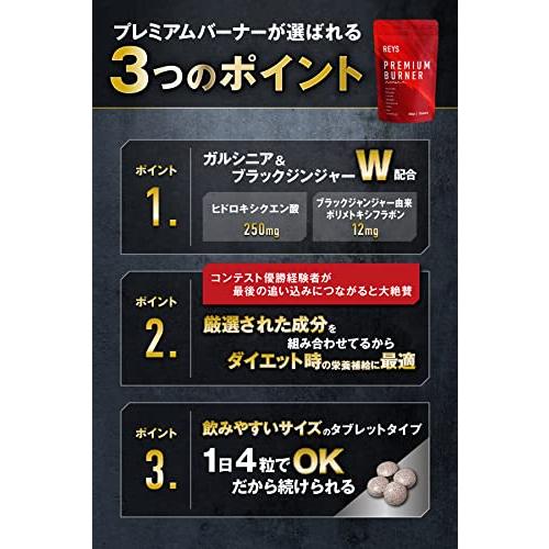 REYS レイズ 【PREMIUM BURNER】 プレミアムバーナー 120粒 REYS レイズ 【PREMIUM BURNER】 プレミアムバーナー 120粒