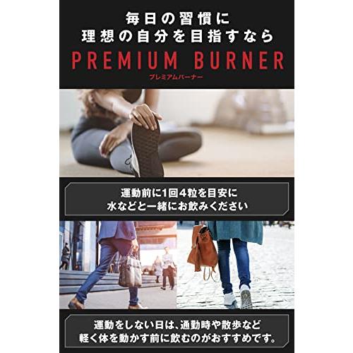 REYS レイズ 【PREMIUM BURNER】 プレミアムバーナー 120粒 REYS レイズ 【PREMIUM BURNER】 プレミアムバーナー 120粒