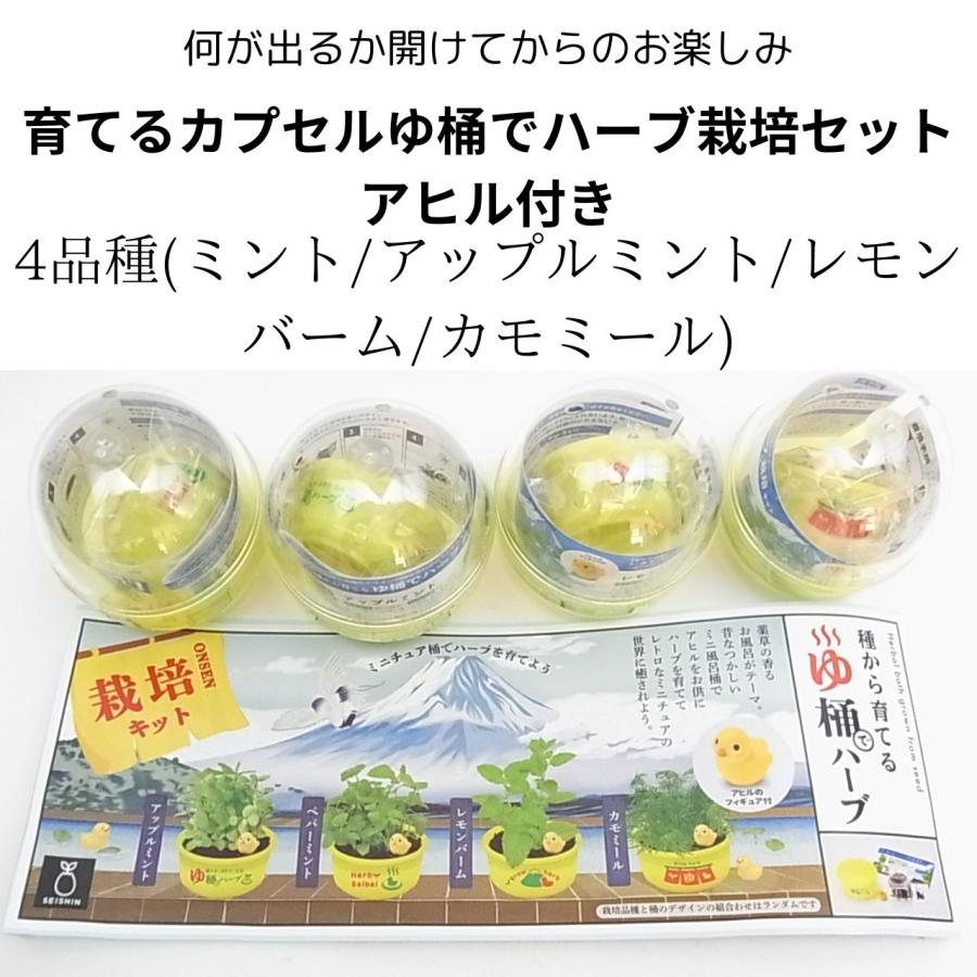ハーブ 栽培キット 聖新陶芸 育てるカプセル ゆ桶でハーブ 【全4種