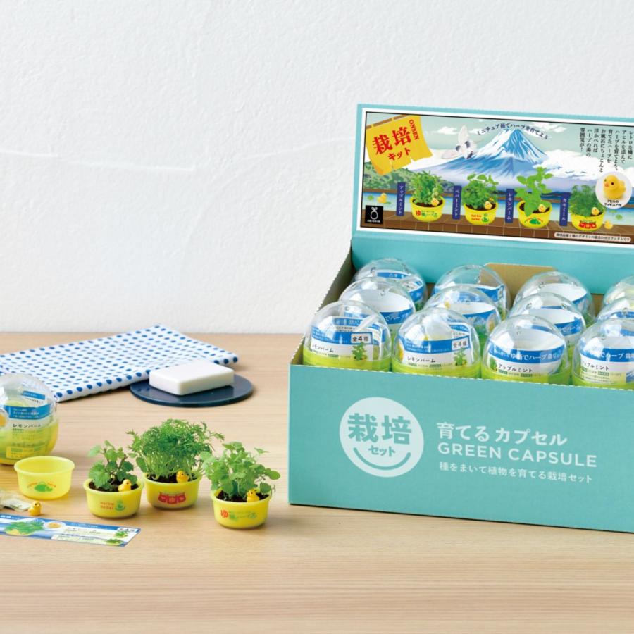 ハーブ 栽培キット 聖新陶芸 育てるカプセル ゆ桶でハーブ 【全4種