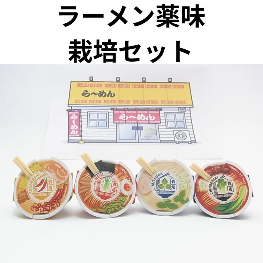 この一杯で育てる。聖新陶芸 ラーメン薬味栽培キット（ミニ鉢・お箸付