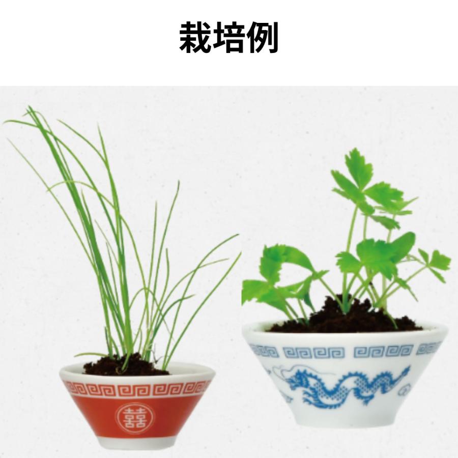 この一杯で育てる。聖新陶芸 ラーメン薬味栽培キット（ミニ鉢・お箸付