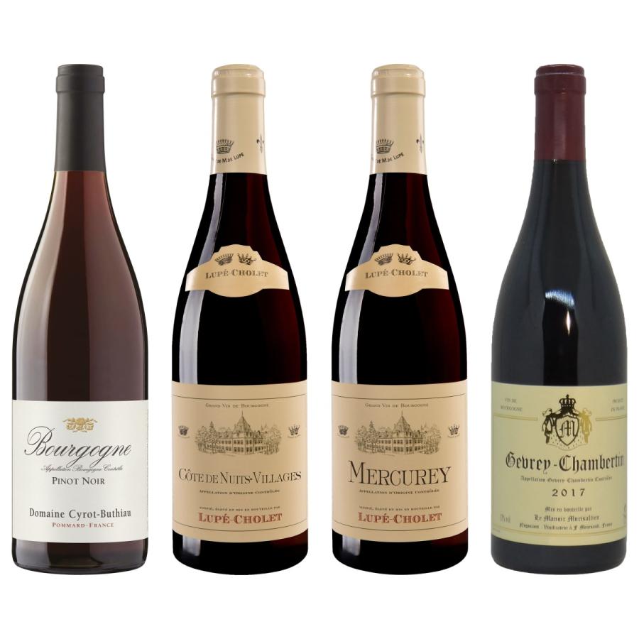 無一文 ルビー ヘロイン 赤ワイン フランス おすすめ Hana Mochi Jp