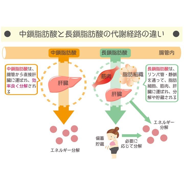 5周年セール 犬 猫 ヤギミルク 100g オーガニック 無添加 天然山羊乳100 オランダ産 産地証明書あり 人用の基準で作られています メール便 Dm 002 ホームメイドわんごはん 自然療法 通販 Yahoo ショッピング