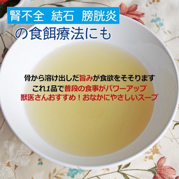 鶏の栄養スープ 0ｇ 6パック 受注製造 犬 腎臓病 腎不全 膀胱炎 結石 フード Sp 002 ホームメイドわんごはん 自然療法 通販 Yahoo ショッピング