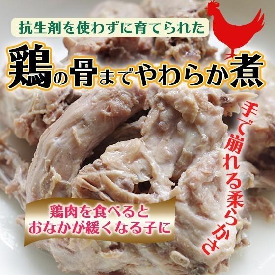 腎臓病 食事 犬 腎不全 鶏の骨までやわらか煮 100g 5パック Tr 002 ホームメイドわんごはん 自然療法 通販 Yahoo ショッピング