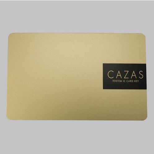 送料無料 トステム 玄関 ドア カザス CAZAS 追加用 : ビッグ割引 ゴールド Z-003-DVBA 柔らかな質感の 内容物 本体×1 カードキー