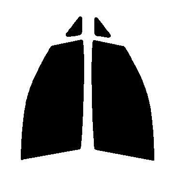 運転席、助手席用 エルグランド E52 カット済みフィルム 国産 : 株式