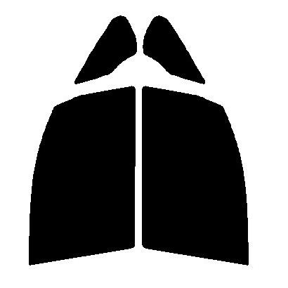 スパッタゴールド 運転席・助手席 トヨタ ノア ZRR80G・ZRR80W・ZRR85G