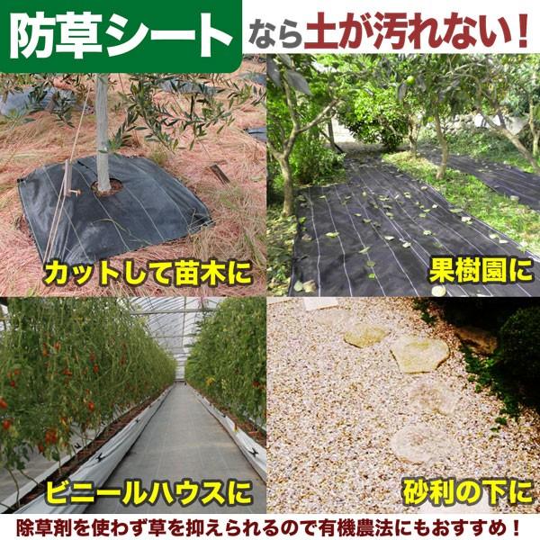 防草シート 2m×100m 黒 抗菌 草除けシート 雑草防止シート 草おさえ 草よけシート :s-bsnet20100bk:HOMEOWN - 通販 - Yahoo!ショッピング 防草シート 2m×100m 黒 抗菌 草除けシート 雑草防止シート 草おさえ 草よけシート :s-bsnet20100bk:HOMEOWN - 通販 - Yahoo!ショッピング