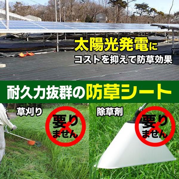 SHINSEI 防草シート 2m×100m 緑 抗菌 草除けシート 雑草防止シート 草
