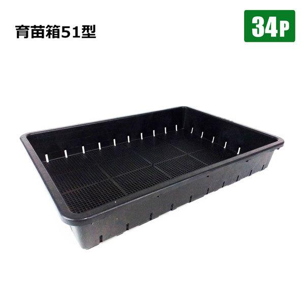 育苗箱51型 34個セット 477×326×76mm内寸 田植え 水稲 シンセイ直送 法人限定 基本送料無料 40%OFFの激安セール 育苗箱51型 34個セット 477×326×76mm内寸 田植え 水稲 シンセイ直送 法人限定 基本送料無料 40%OFFの激安セール