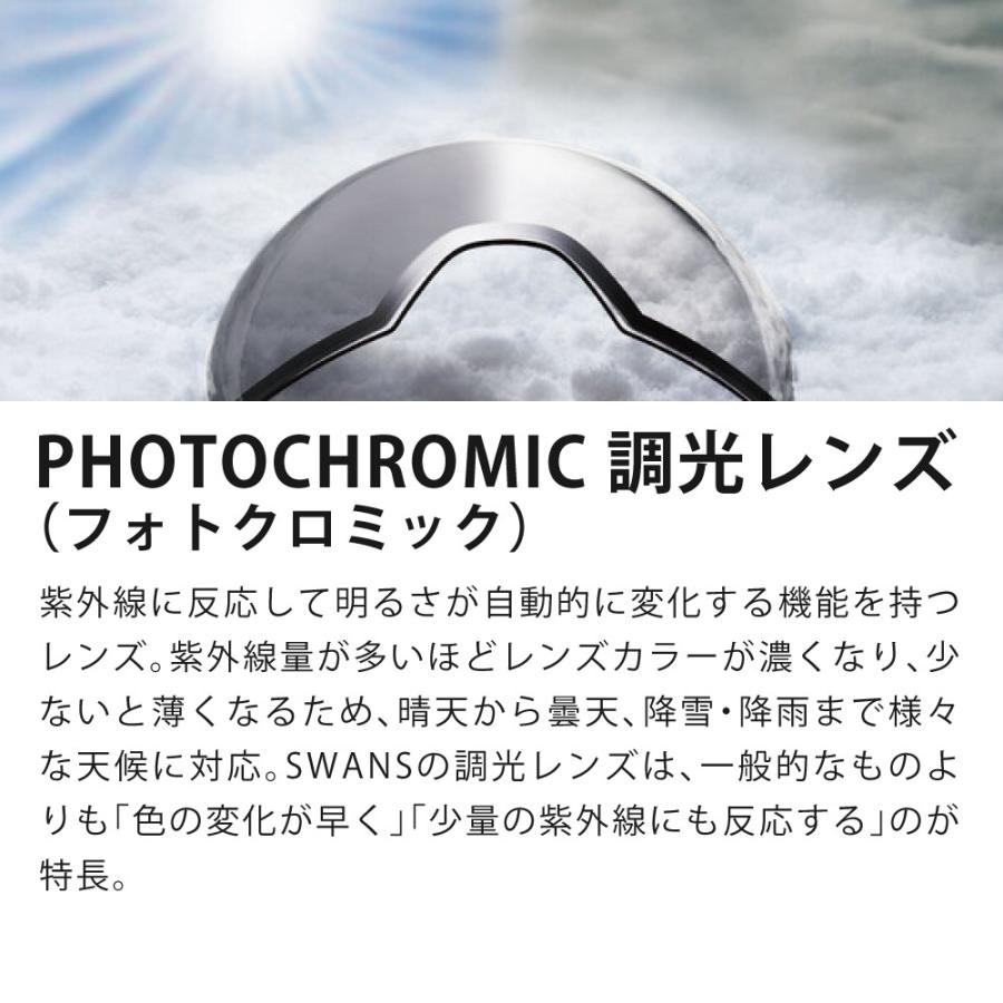 SWANS（スワンズ） ゴーグル RACAN RA-MDH-CU-LG CRW ライトシルバー