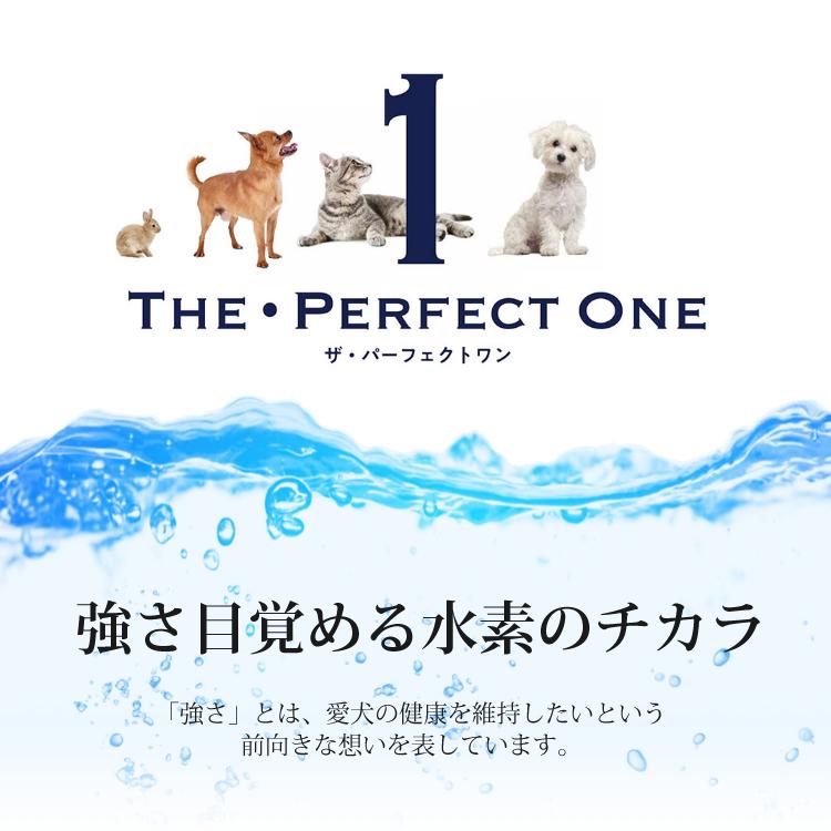 サンライズ THE・PERFECT ONE ソフト チキン 13歳以上用 500g（STP-010）シニア犬用 国産 無添加 半生フード マルカン ザ・パーフェクトワン ドッグフード｜homeshop｜02