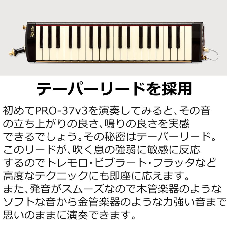 アイオン SUZUKI スズキ 鍵盤ハーモニカ メロディオン アルト アイオン SUZUKI スズキ 鍵盤ハーモニカ メロディオン アルト