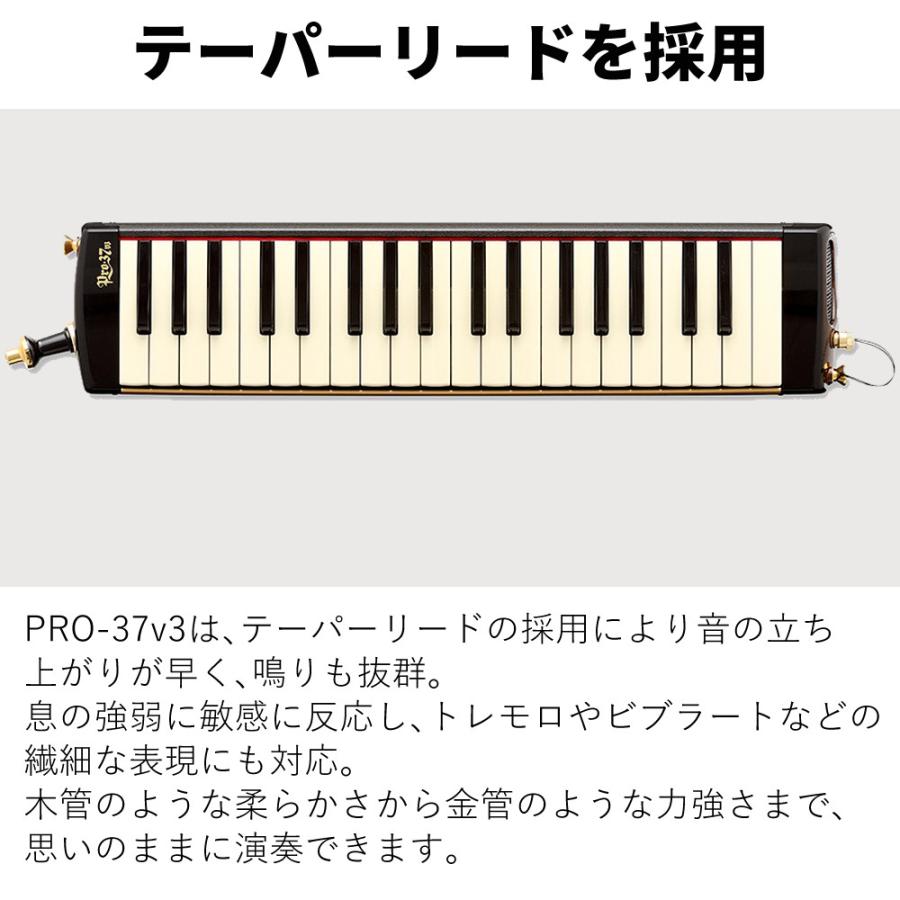 アイオン スズキ 鍵盤ハーモニカ メロディオン アルト PRO-37v3 専用