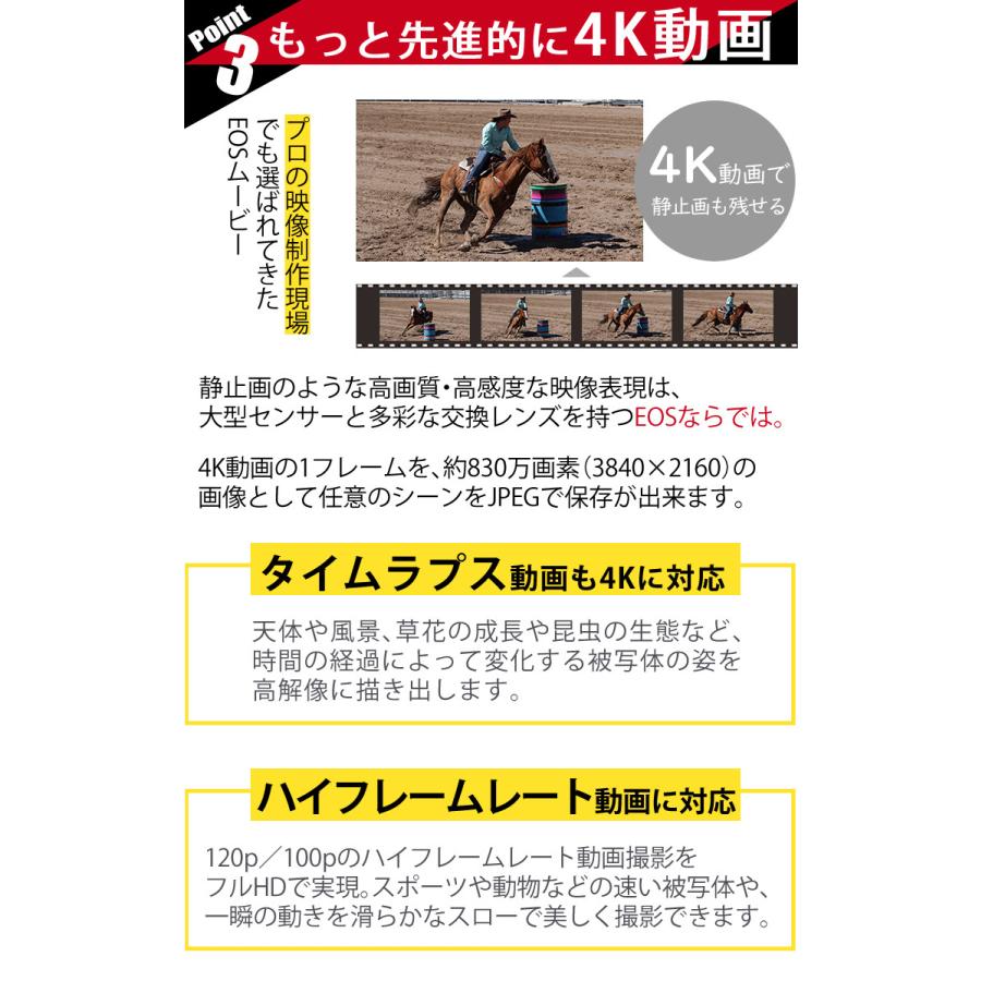 キヤノン (新品)キヤノン(Canon) デジタル一眼レフカメラ EOS キヤノン (新品)キヤノン(Canon) デジタル一眼レフカメラ EOS